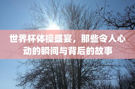 世界杯体操盛宴，那些令人心动的瞬间与背后的故事