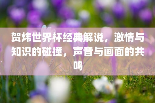 贺炜世界杯经典解说，激情与知识的碰撞，声音与画面的共鸣