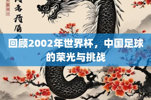 回顾2002年世界杯，中国足球的荣光与挑战