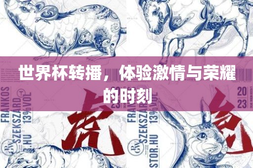 世界杯转播，体验激情与荣耀的时刻