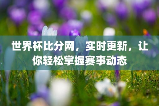 世界杯比分网，实时更新，让你轻松掌握赛事动态
