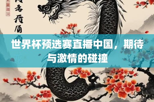 世界杯预选赛直播中国，期待与激情的碰撞