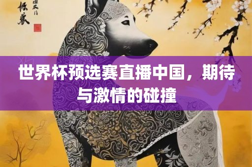 世界杯预选赛直播中国，期待与激情的碰撞