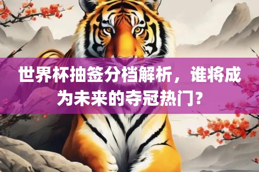 世界杯抽签分档解析，谁将成为未来的夺冠热门？
