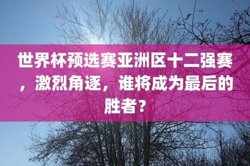 世界杯预选赛亚洲区十二强赛，激烈角逐，谁将成为最后的胜者？