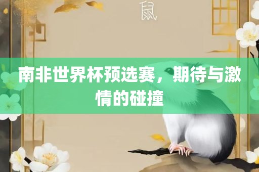 南非世界杯预选赛，期待与激情的碰撞