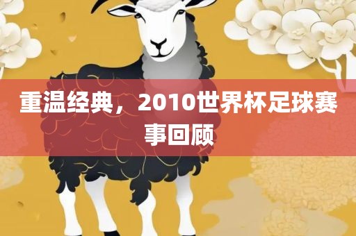 重温经典，2010世界杯足球赛事回顾