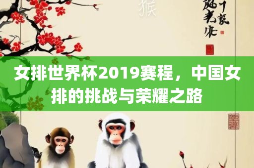 女排世界杯2019赛程，中国女排的挑战与荣耀之路