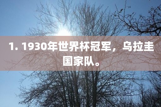 1. 1930年世界杯冠军，乌拉圭国家队。