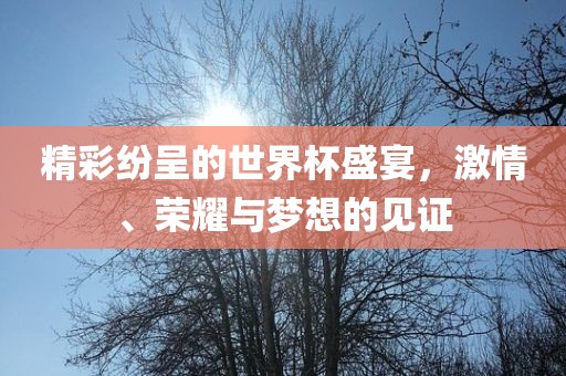 精彩纷呈的世界杯盛宴，激情、荣耀与梦想的见证