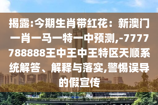 街头篮球世界杯，全球篮球爱好者的狂欢盛宴