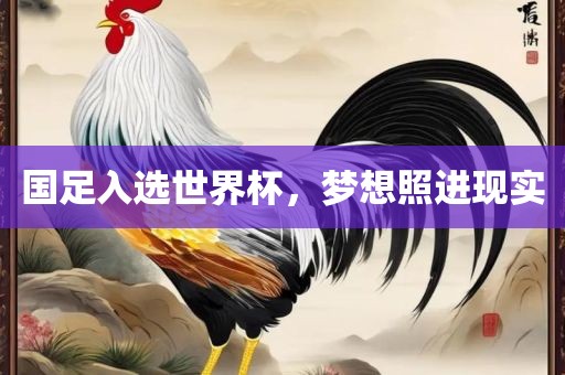 国足入选世界杯，梦想照进现实
