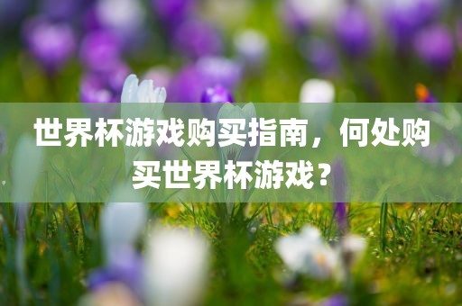 世界杯游戏购买指南，何处购买世界杯游戏？