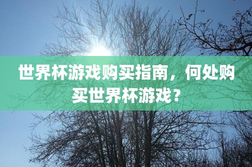 世界杯游戏购买指南，何处购买世界杯游戏？
