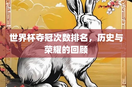 世界杯夺冠次数排名，历史与荣耀的回顾