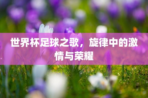 世界杯足球之歌，旋律中的激情与荣耀