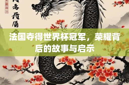 法国夺得世界杯冠军，荣耀背后的故事与启示