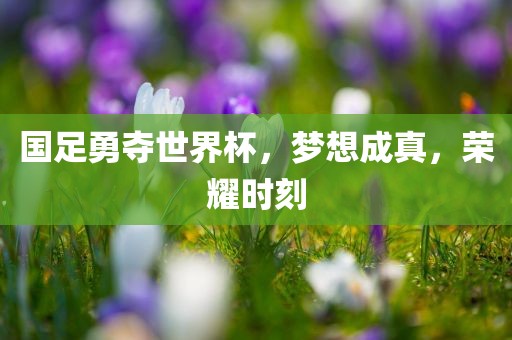 国足勇夺世界杯，梦想成真，荣耀时刻