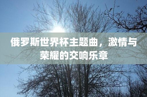 俄罗斯世界杯主题曲，激情与荣耀的交响乐章