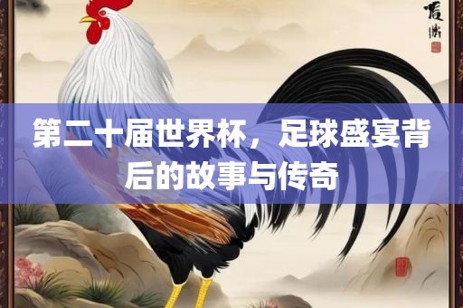 第二十届世界杯，足球盛宴背后的故事与传奇