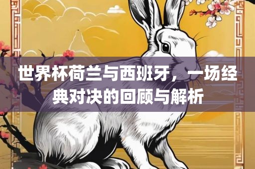 世界杯荷兰与西班牙，一场经典对决的回顾与解析