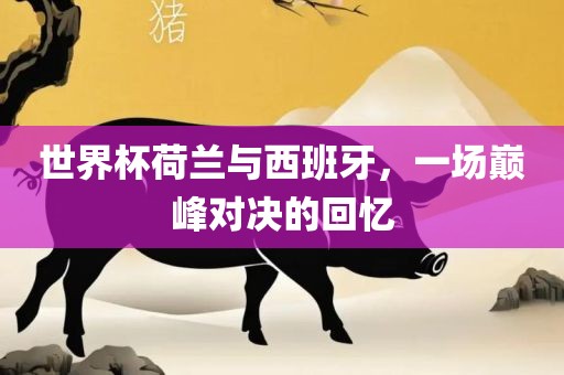 世界杯荷兰与西班牙，一场巅峰对决的回忆