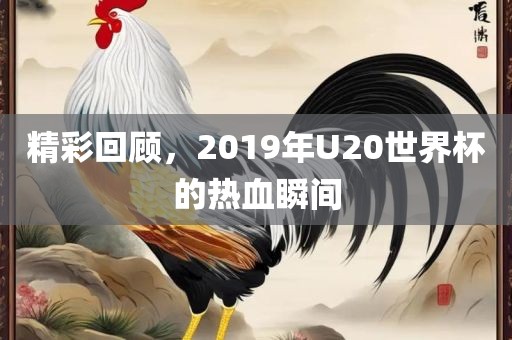 精彩回顾，2019年U20世界杯的热血瞬间