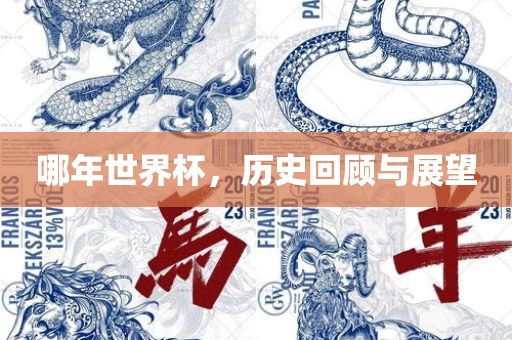 哪年世界杯，历史回顾与展望