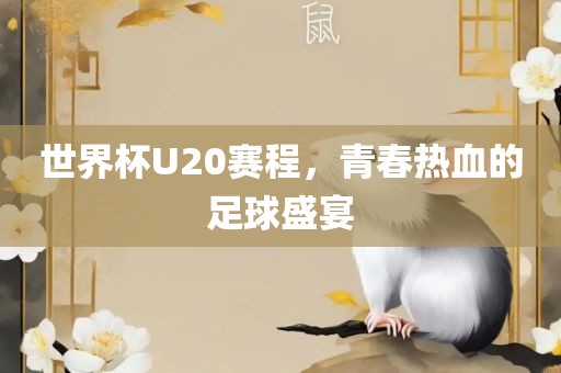 世界杯U20赛程，青春热血的足球盛宴