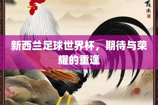 新西兰足球世界杯，期待与荣耀的重逢