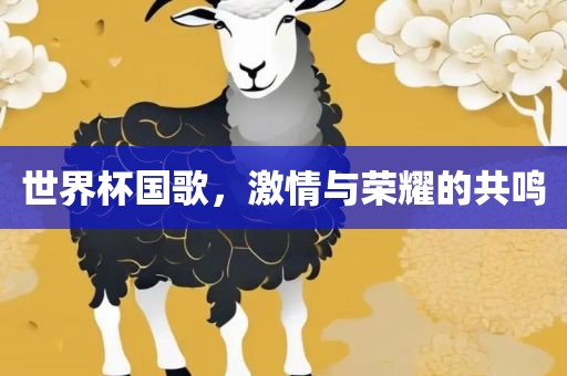 世界杯国歌，激情与荣耀的共鸣