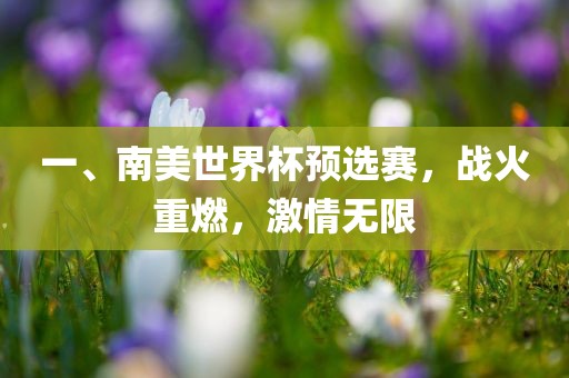 一、南美世界杯预选赛，战火重燃，激情无限