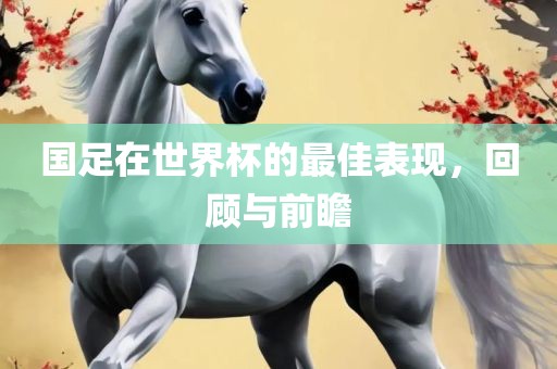 国足在世界杯的最佳表现，回顾与前瞻