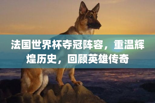 法国世界杯夺冠阵容，重温辉煌历史，回顾英雄传奇