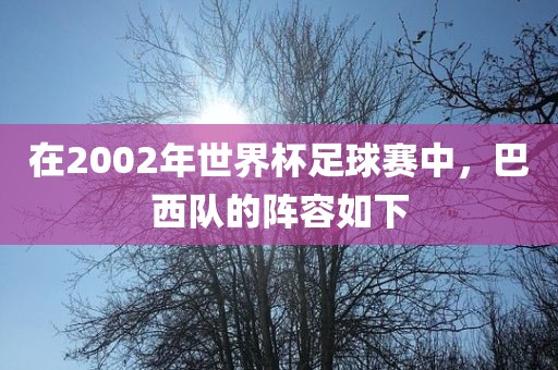 在2002年世界杯足球赛中，巴西队的阵容如下
