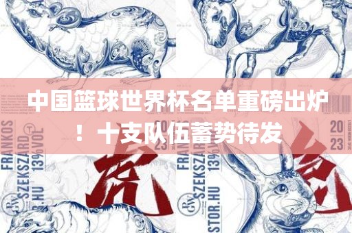 中国篮球世界杯名单重磅出炉！十支队伍蓄势待发