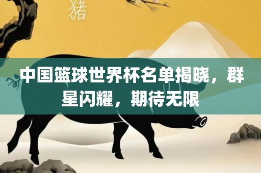 中国篮球世界杯名单揭晓，群星闪耀，期待无限