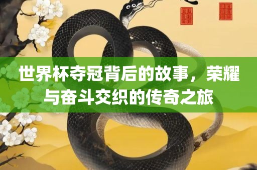 世界杯夺冠背后的故事，荣耀与奋斗交织的传奇之旅