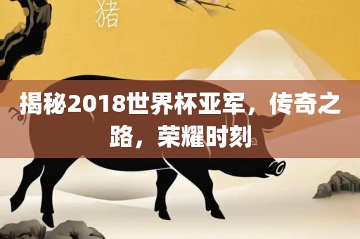 揭秘2018世界杯亚军，传奇之路，荣耀时刻