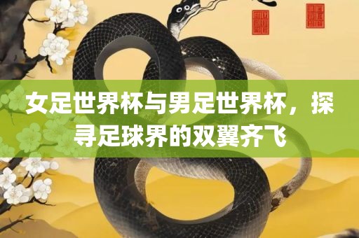 女足世界杯与男足世界杯，探寻足球界的双翼齐飞