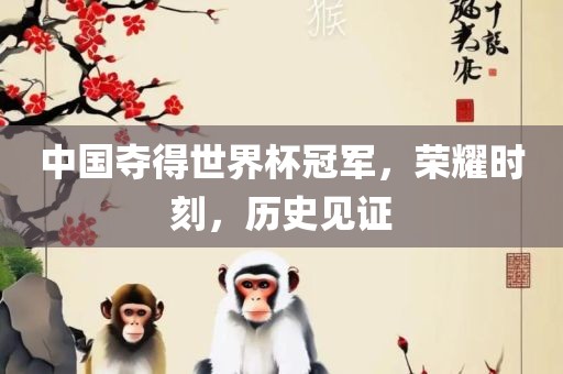 中国夺得世界杯冠军，荣耀时刻，历史见证