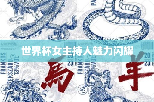 世界杯女主持人魅力闪耀