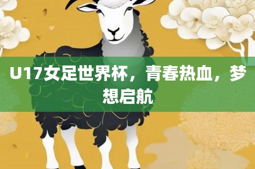 U17女足世界杯，青春热血，梦想启航