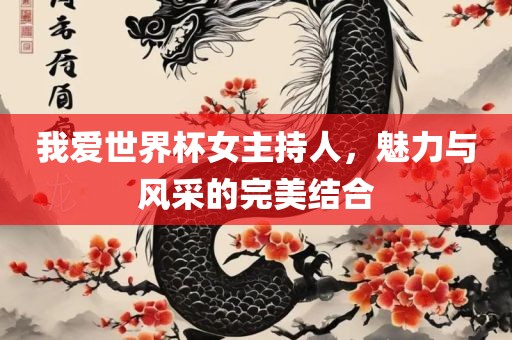 我爱世界杯女主持人，魅力与风采的完美结合