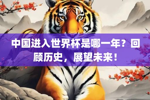 中国进入世界杯是哪一年？回顾历史，展望未来！