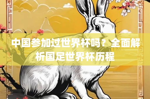 中国参加过世界杯吗？全面解析国足世界杯历程