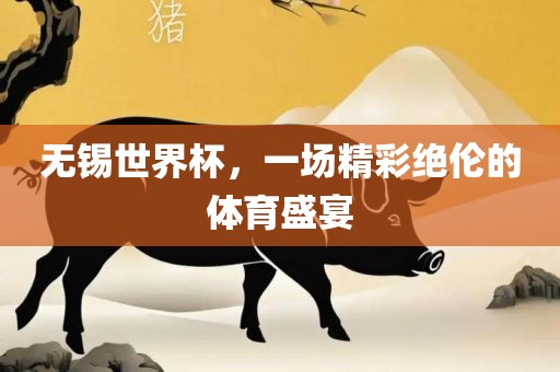 无锡世界杯，一场精彩绝伦的体育盛宴