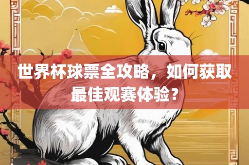 世界杯球票全攻略，如何获取最佳观赛体验？
