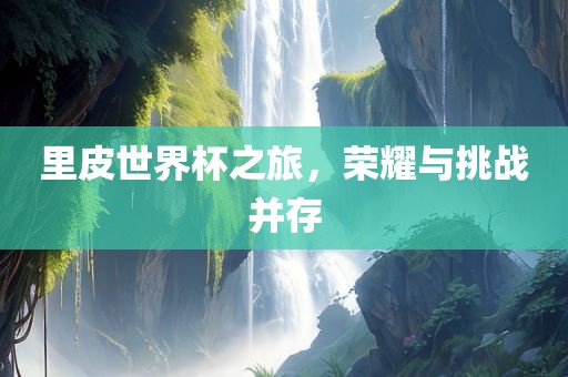 里皮世界杯之旅，荣耀与挑战并存