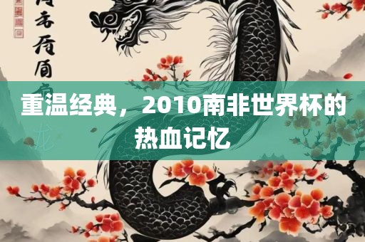 重温经典，2010南非世界杯的热血记忆